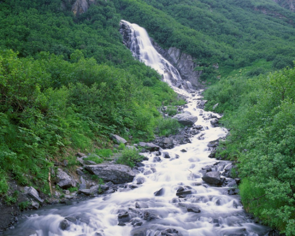 水果里含维生素c吗百科